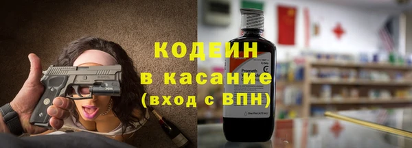спиды Богородицк