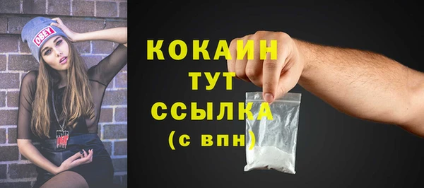 спиды Богородицк