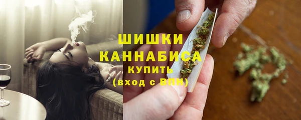 спиды Богородицк