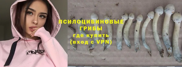 стафф Богородск
