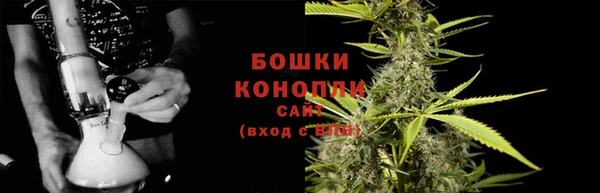 спиды Богородицк