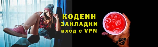 спиды Богородицк