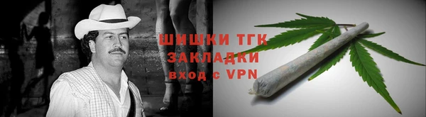 спиды Богородицк