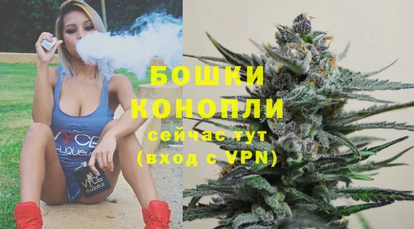 стафф Богородск