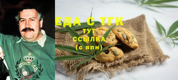 спиды Богородицк