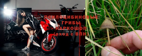 спиды Богородицк