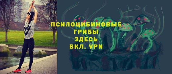 стафф Богородск