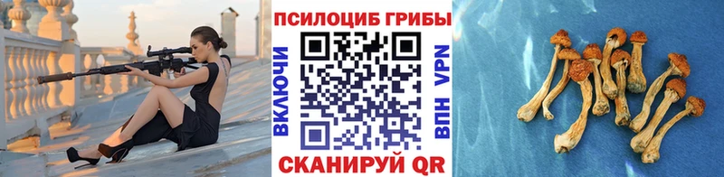 Галлюциногенные грибы мухоморы Купить Кондрово